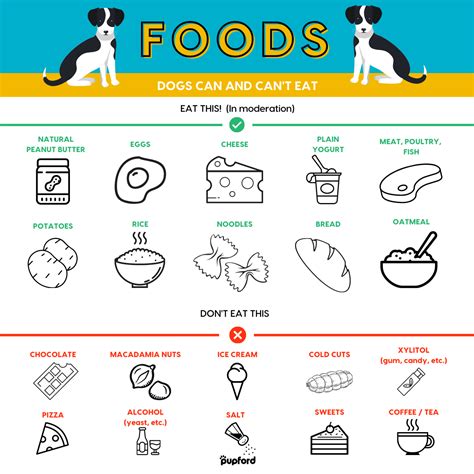 Printable Foods Dogs Can Eat